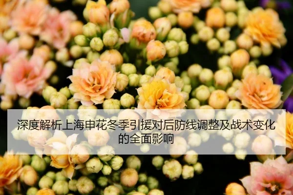 深度解析上海申花冬季引援对后防线调整及战术变化的全面影响